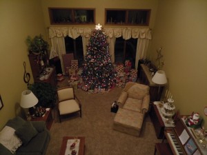 Swanson Christmas Living Room
