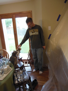 We taped off the kitchen to contain the mess and keep the kitties out. The cats were NOT happy about being excluded from the action.