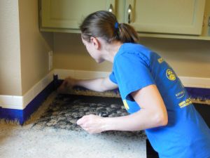 countertop - sponge painting