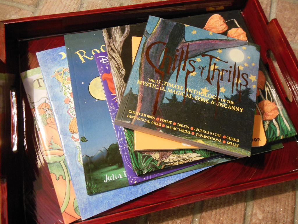 Fall2_2015_bookTray